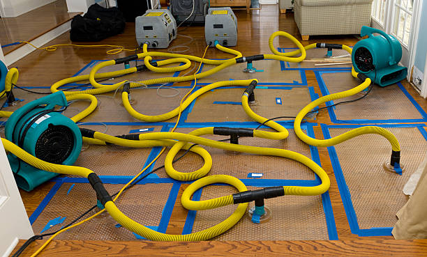 Professional Flood Damage Restoration technician working in New Middletown, OH